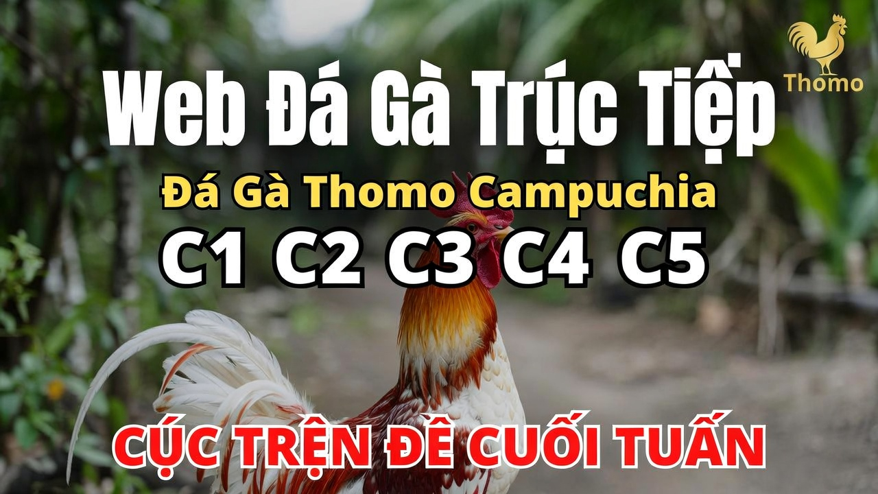 xoso66 - Nền Tảng Giải Trí Trực Tuyến