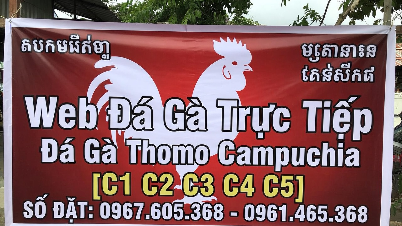 Chính sách bảo mật xoso66