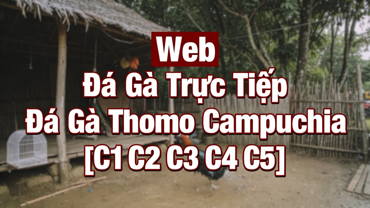 Giới thiệu về xoso66