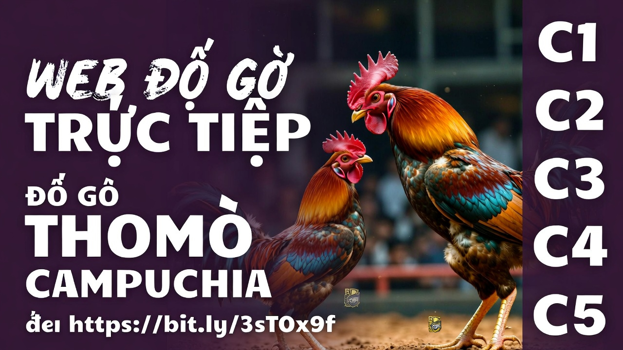 xoso66 - Nền Tảng Giải Trí Trực Tuyến