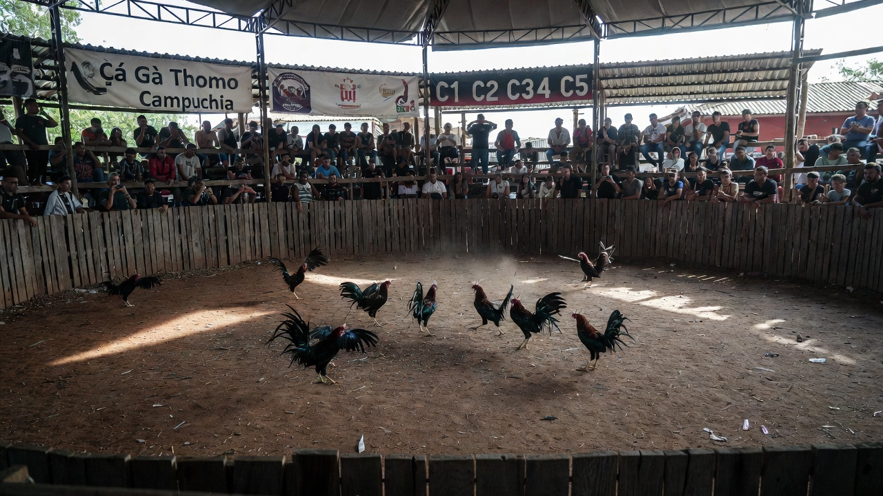 xoso66 app - Ứng Dụng Xổ Số